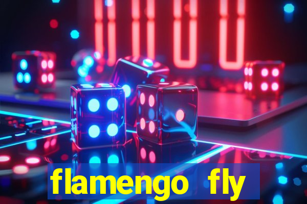 flamengo fly emirates ultimas noticias